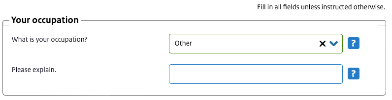 occupation online netherlands visa application form